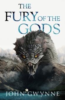 The Fury of the Gods : the epic conclusion to the New York Times bestselling Bloodsworn saga