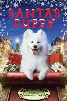 Santa's Puppy