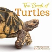 The Book Of Turtles