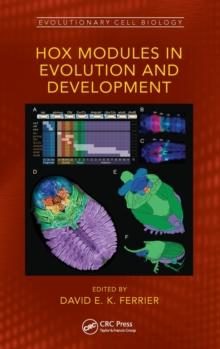 Hox Modules in Evolution and Development