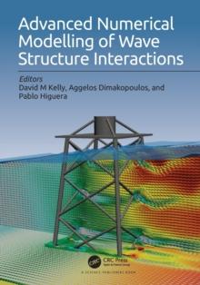 Advanced Numerical Modelling of Wave Structure Interaction