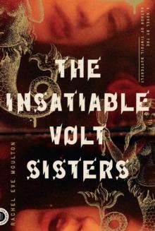 The Insatiable Volt Sisters : A Novel