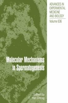 Molecular Mechanisms in Spermatogenesis