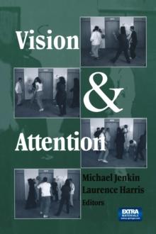 Vision and Attention