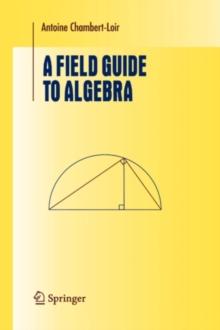 A Field Guide to Algebra