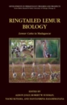 Ringtailed Lemur Biology : Lemur catta in Madagascar