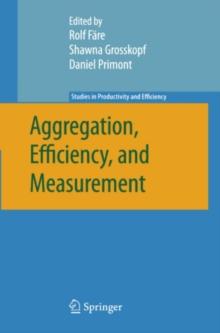 Aggregation, Efficiency, and Measurement