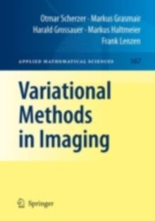 Variational Methods in Imaging