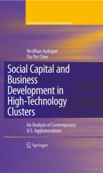 Social Capital and Business Development in High-Technology Clusters : An Analysis of Contemporary U.S. Agglomerations