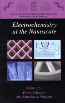 Electrochemistry at the Nanoscale