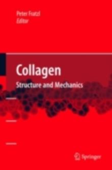 Collagen : Structure and Mechanics