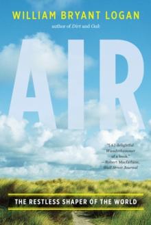 Air : The Restless Shaper of the World