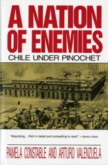 A Nation of Enemies : Chile Under Pinochet