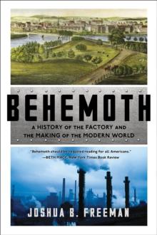 Behemoth : A History of the Factory and the Making of the Modern World