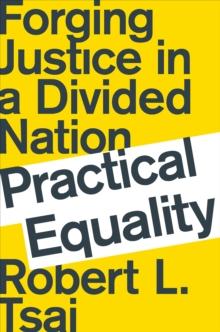 Practical Equality : Forging Justice in a Divided Nation