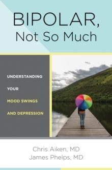 Bipolar, Not So Much : Understanding Your Mood Swings and Depression