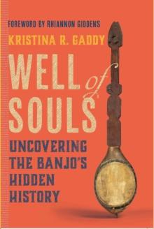 Well of Souls : Uncovering the Banjo's Hidden History