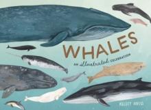 Whales : An Illustrated Celebration