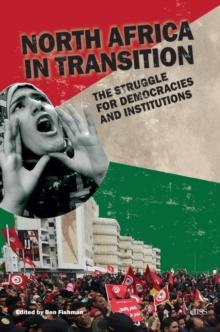 North Africa in Transition : The Struggle for Democracy and Institutions