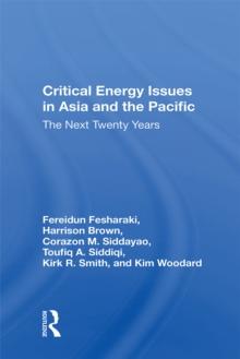 Critical Energy Issues In Asia And The Pacific : The Next Twenty Years