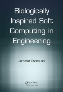 Soft Computing in Engineering