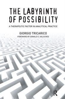 The Labyrinth of Possibility : A Therapeutic Factor in Analytical Practice