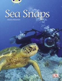 Bug Club Independent Non Fiction Year 1 Green A Sea Snaps