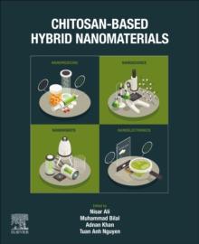 Chitosan-Based Hybrid Nanomaterials