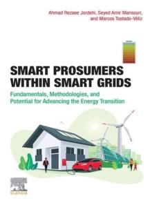 Smart Prosumers within Smart Grids : Fundamentals, Methodologies, and Potential for Advancing the Energy Transition