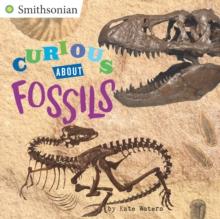 Curious About Fossils