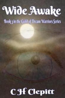 Wide Awake: Book 3 In the Guild of Dream Warriors Series : The Guild of Dream Warriors, #3