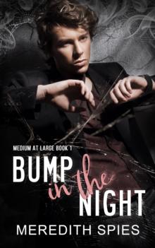 Bump in the Night (Medium at Large Book 1)