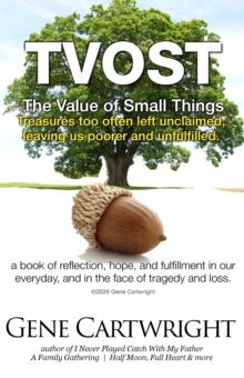 TVOST. The Value of Small Things