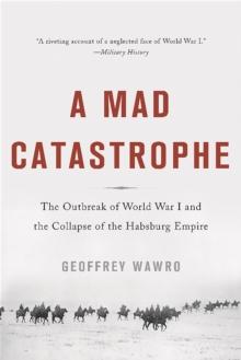 A Mad Catastrophe : The Outbreak of World War I and the Collapse of the Habsburg Empire