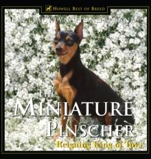 Miniature Pinscher : Reigning King of Toys