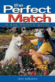 The Perfect Match : A Dog Buyer's Guide