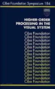 Higher-Order Processing in the Visual System