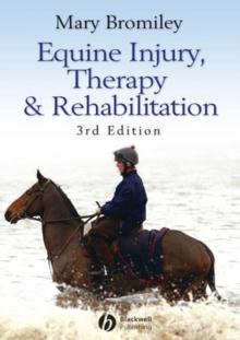 Equine Injury, Therapy and Rehabilitation