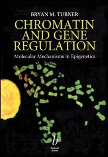 Chromatin and Gene Regulation : Molecular Mechanisms in Epigenetics