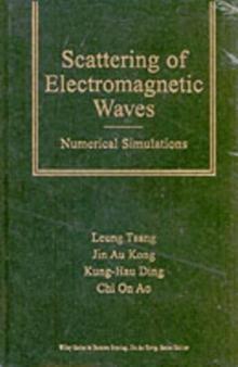 Scattering of Electromagnetic Waves : Numerical Simulations