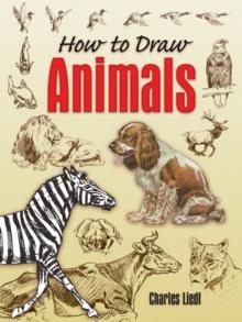 How to Draw Animals