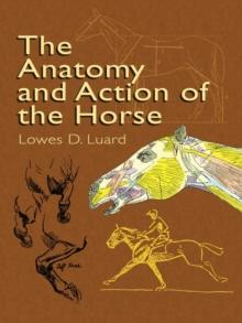 The Anatomy and Action of the Horse