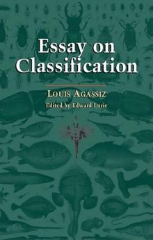 Essay on Classification