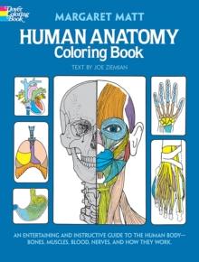 Human Anatomy