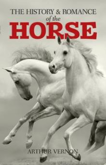 The History and Romance of the Horse