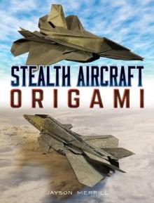 Stealth Aircraft Origami