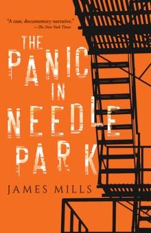 Panic in Needle Park