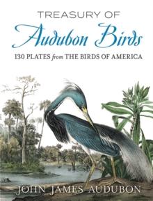 Treasury of Audubon Birds : 130 Plates from the Birds of America