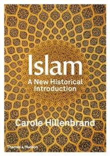 Islam : A New Historical Introduction