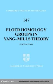 Floer Homology Groups in Yang-Mills Theory